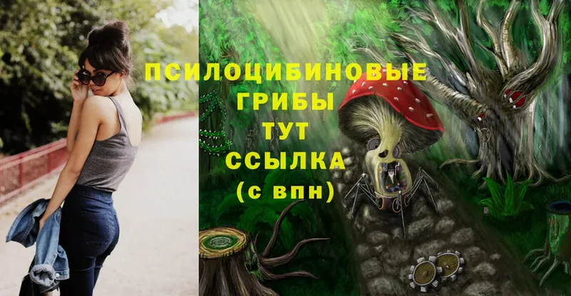 Псилоцибиновые грибы Psilocybe  Тольятти 